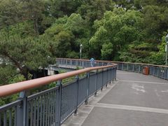 -金鸡山公园