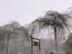 -陆地游轮吉林神农温泉