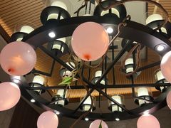-老阿爸鲜鱼土菜(园区永旺店)