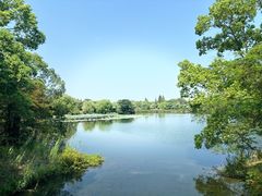 -尚湖风景区