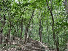 -南山风景名胜区