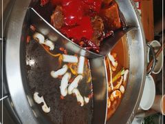 -大龙燚火锅(科华店)