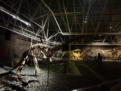 -世界恐龙谷景区