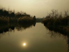 -白鹭湾湿地公园