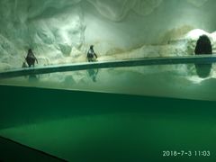 -北戴河圣蓝海洋公园