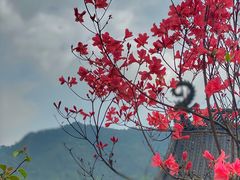 -杭州上天竺法喜讲寺