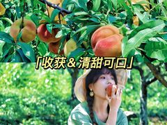 -沉浸北京·团建旅行·密室剧本杀·年会会议轰趴拓展