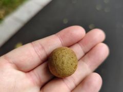 -七仙岭温泉国家森林公园