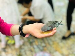 -上海大自然野生昆虫馆(东方明珠·爬宠昆虫探索中心)