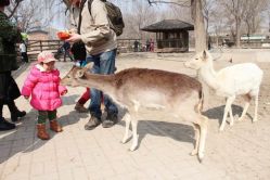 -萌宠亲子动物乐园(槐房万达店)