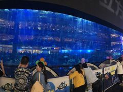 -成都浩海立方海洋公园