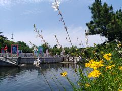 -白马涧龙池景区