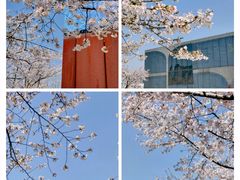 -龙美术馆(西岸馆)