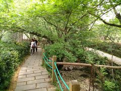 -东海大峡谷