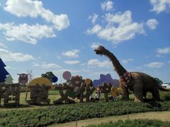 -嘉北郊野公园北游客中心-地上停车场