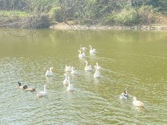 -青龙山国家森林公园