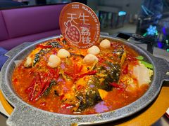 -南锣肥猫·麻辣烤鱼·15年现烤现卖(通州领展店)