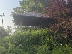 -宝界山林公园