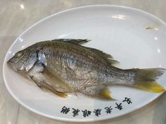 -长平老姿娘夜粥(平东一街店)