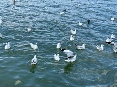 -大理洱海