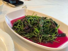 -锦水苑川菜馆(风格雅园店)