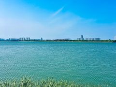 -金沙湖旅游度假区