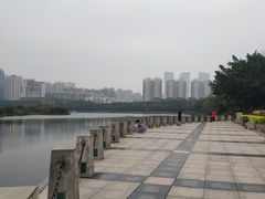-南宁南湖公园