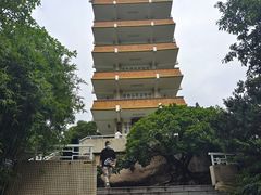 -鹅岭公园瞰胜楼