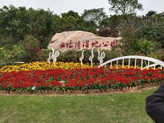 -五缘湾湿地公园