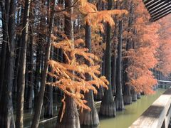 -采石矶景区