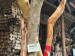 -呀路古热带植物园