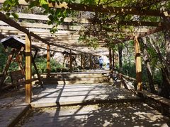 -大岭沟猕猴桃谷风景区