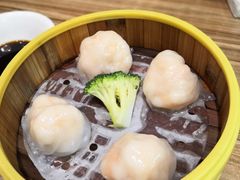 -粤港餐厅(禹州商业广场店)