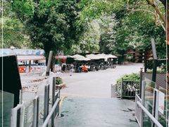 -深圳野生动物园
