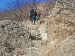 -北京鹫峰国家森林公园