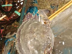 -新丁香海鲜酒店(银海商贸城店)