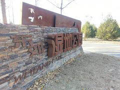 -东郊湿地公园