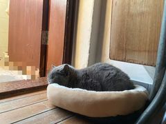 -拜鲁耶动物诊疗中心·宠家动物医院