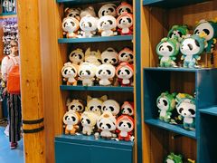 -熊猫屋(宽窄巷子景区店)