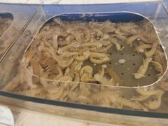 -澜悦港海鲜体验主题餐厅