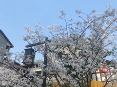 景点-磁器口古镇