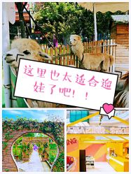 -萌宠亲子动物乐园(槐房万达店)