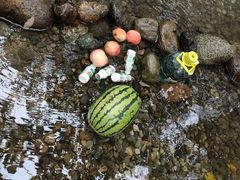 -桤木河湿地公园