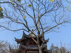 -四海公园(南山区)