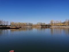 -东郊湿地公园