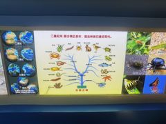 -上海昆虫博物馆