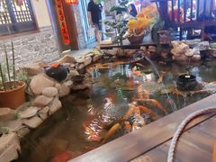 -鱼满舱·鲜活海鲜·正宗鲁菜