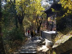 -少华山国家森林公园