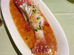 -高佳庄·海鲜酒楼(东港店)