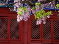 -北京国子监胡同